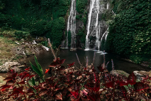 Большой Водопад Индонезии Водопады Бали Пейзажи Азии Водопад Среди Зеленых — стоковое фото