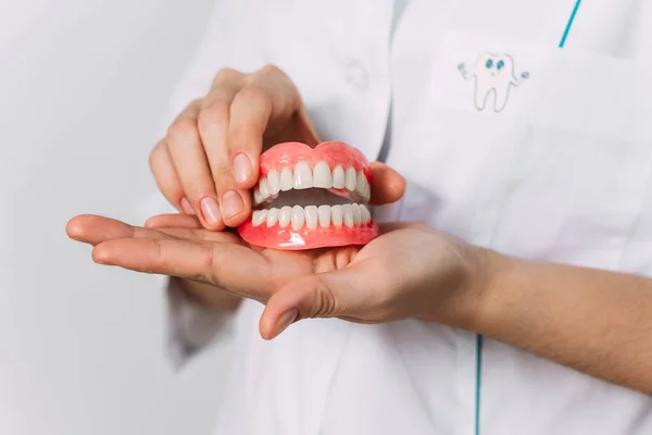 Dentista Tem Dentaduras Nas Mãos Prótese Dentária Nas Mãos Médico — Fotografia de Stock