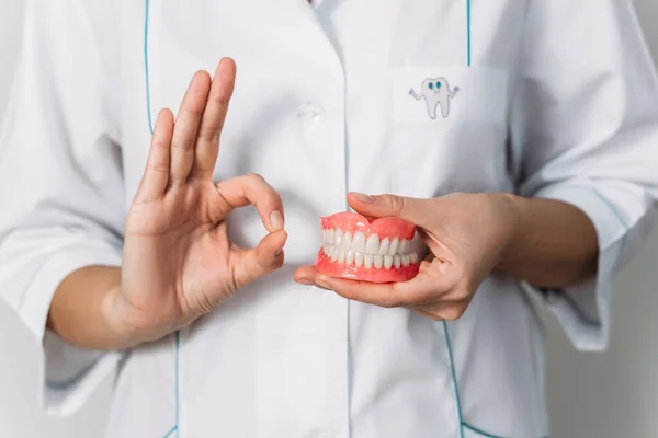 Dentista Tem Dentaduras Nas Mãos Prótese Dentária Nas Mãos Médico — Fotografia de Stock