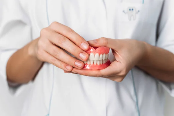 Dişçi Elinde Takma Dişler Tutuyor Diş Protezi Ortopedik Dişçinin Ellerindeydi — Stok fotoğraf