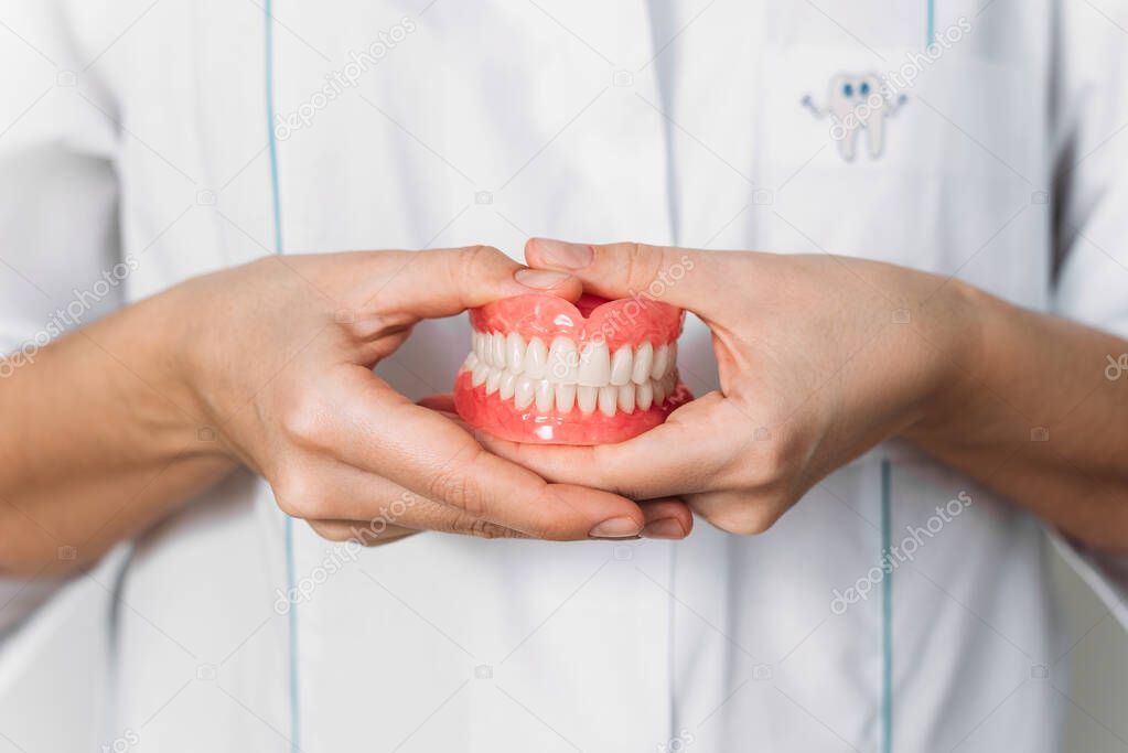 The orthopedic dentist is holding dentures in his hands. Dental prosthesis in the hands of the doctor. Front view of complete denture. Dentistry conceptual photo. Prosthetic dentistry. False teeth