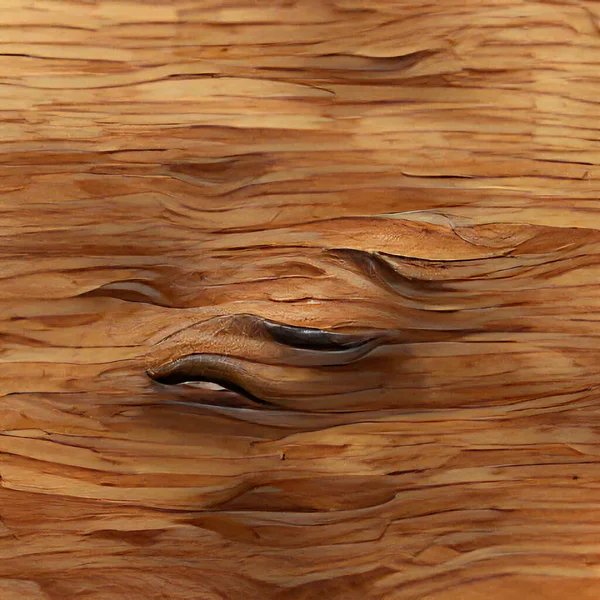 Abstrakte Digitale Malerei Holzstruktur Kreativer Hintergrund Moderner Kunst Grafische Texturressource — Stockfoto