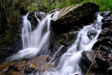 Şelaleler ve küçük bir nehir oluşturan bir su deresinin aktığı And ormanlarının güzel manzarası..