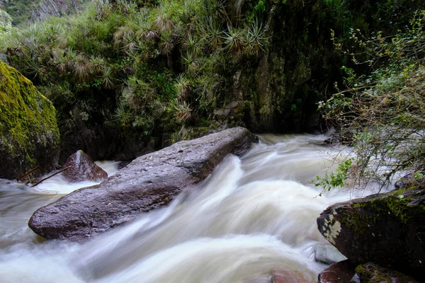 Beautiful Landscape Inter Andean Forest Stream Water Runs Forms Waterfalls — Stock Photo, Image