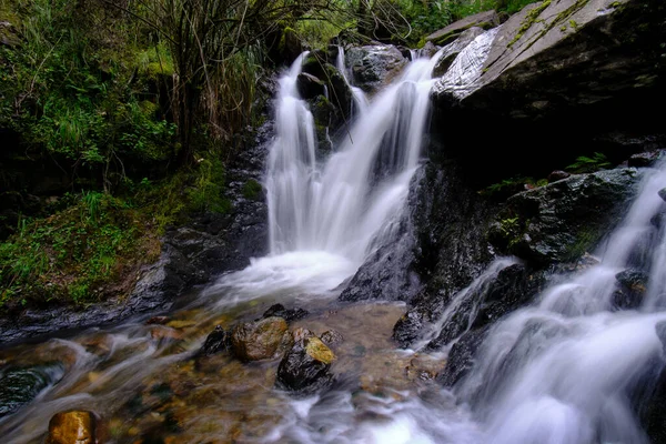 Hermoso Paisaje Bosque Interandino Donde Corre Arroyo Agua Que Forma — Foto de Stock