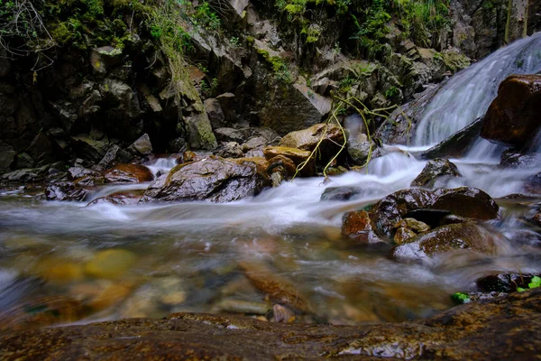 Красивый Ландшафт Межандского Леса Течет Поток Воды Образующий Водопады Небольшую — стоковое фото