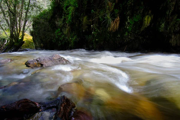 Gyönyörű Táj Andok Közi Erdőkben Ahol Vízeséseket Egy Kis Folyót — Stock Fotó