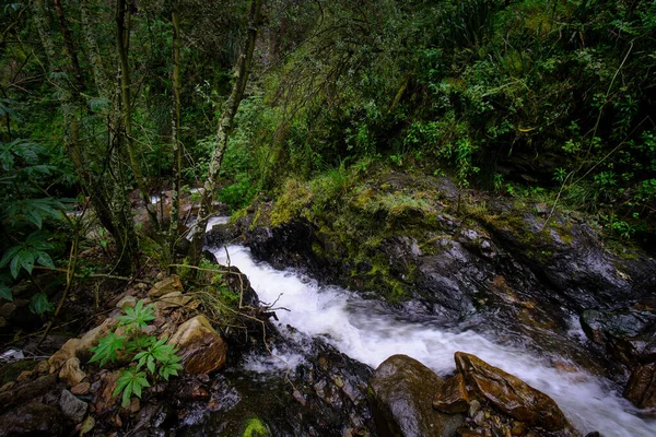 Schöne Landschaft Mit Wald Zwischen Den Anden Ein Wasserstrom Fließt — Stockfoto