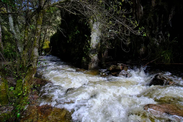 滝と小さな川を形成する水の流れが流れるアンデス間の森の美しい風景 — ストック写真