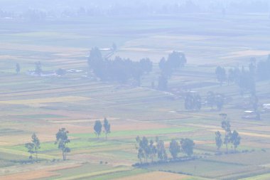 Mantaro Vadisi 'nde şafak vakti sisli bile olsa tarım ürünlerinin senaryosu..