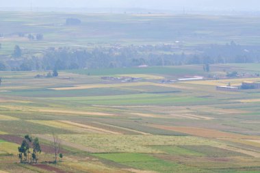 Mantaro Vadisi 'nde şafak vakti sisli bile olsa tarım ürünlerinin senaryosu..