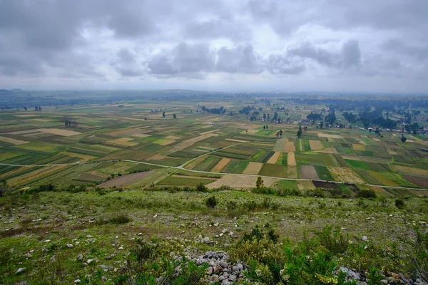 Mantaro Vadisi 'ndeki tarım ürünleri senaryosu, Arwaturo bakış açısından