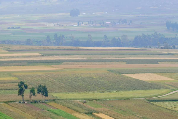 Mantaro Vadisi 'nde şafak vakti sisli bile olsa tarım ürünlerinin senaryosu..
