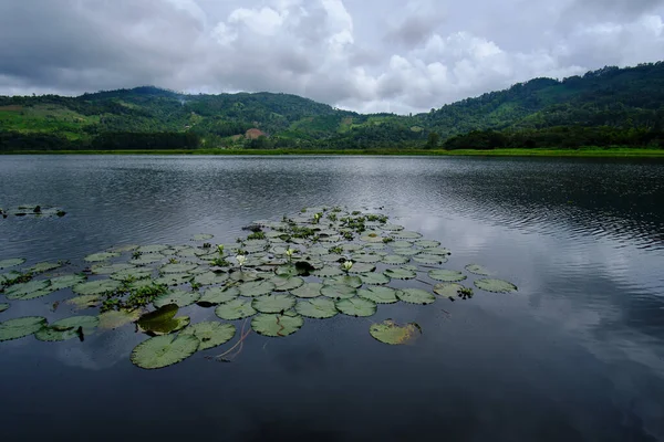 Indah Laguna Oconal Terletak Villa Rica Sebuah Laguna Air Gelap — Stok Foto