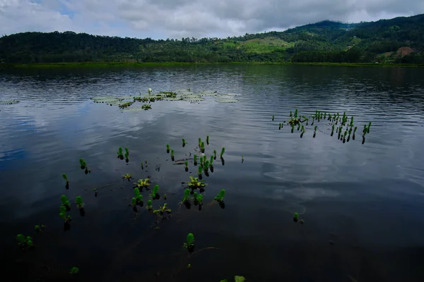 Beautiful Lagoon Oconal Located Villa Rica Lagoon Dark Waters Lotus — Stockfoto