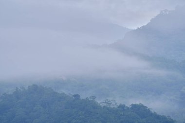Güneşin doğuşundaki bulutlu ormanın güzel manzarası serin sisle çevrili..