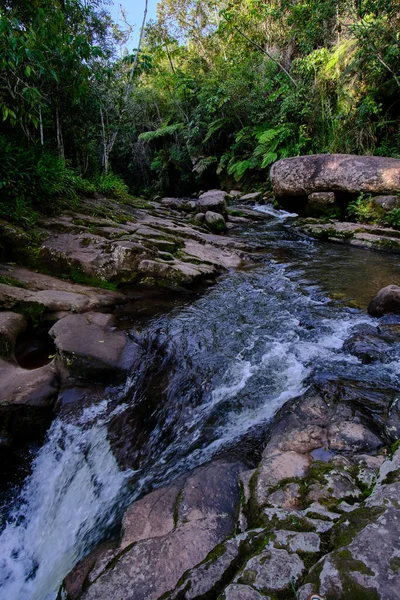 ペルーの中心部のジャングルの内部 川と滝のある密な植生純度と静けさに満ちています — ストック写真