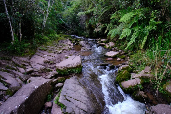 Interior Selva Central Del Perú Densa Vegetación Con Ríos Cascadas — Foto de Stock