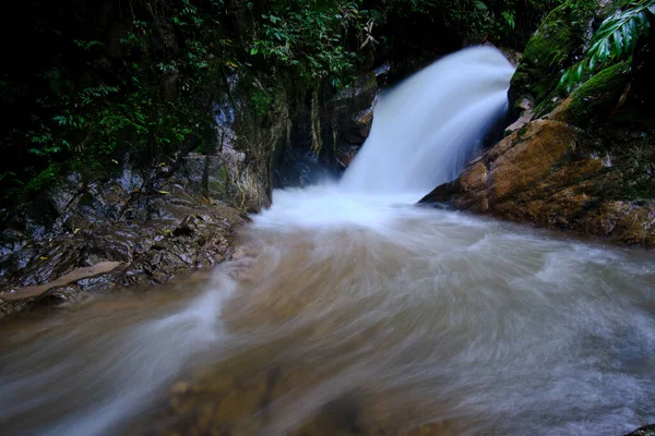 Интерьер Центральных Джунглей Перу Густая Растительность Реками Водопадами Полными Чистоты — стоковое фото