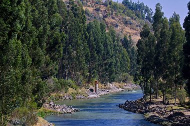 Beautiful sunny morning on the Mantaro River, surrounded by dense eucalyptus trees.