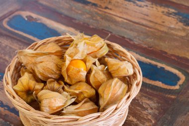 Physalis sepeti ahşap tablo
