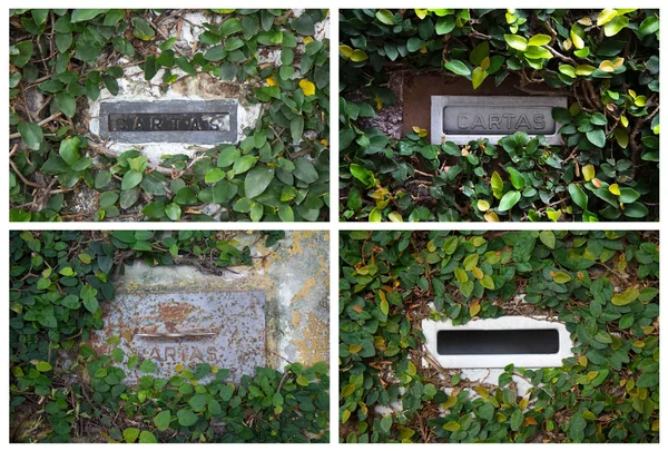 Collage with postboxes with ivy in Brazil — Stock Photo, Image
