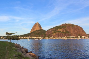 dağ sugarloaf ağaç guanabara Körfezi, rio de janeiro