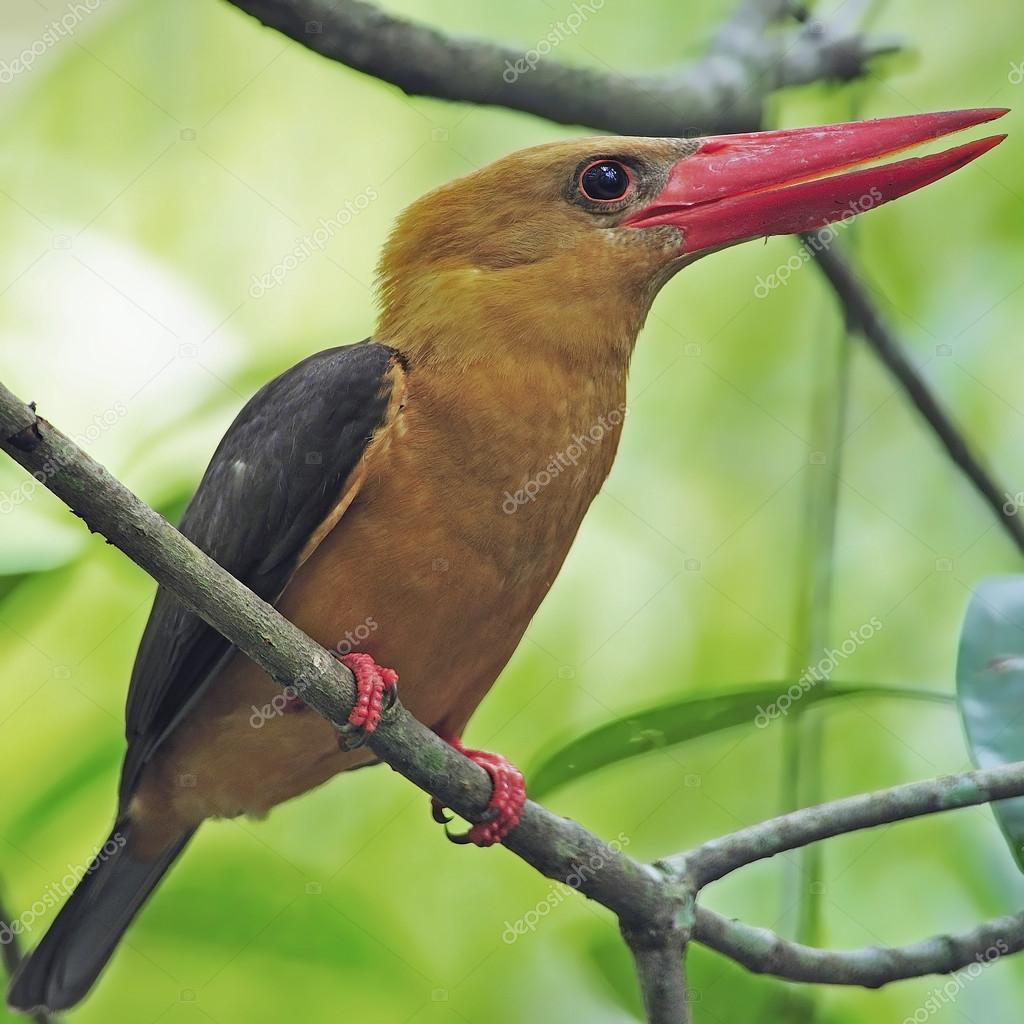 panuruangjan