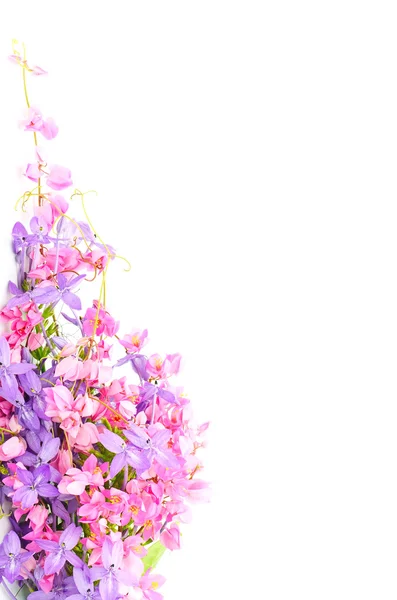 Sfondo fiore — Foto Stock