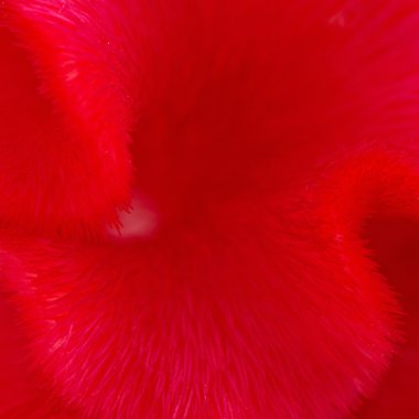 cockscomb backgrund Özet