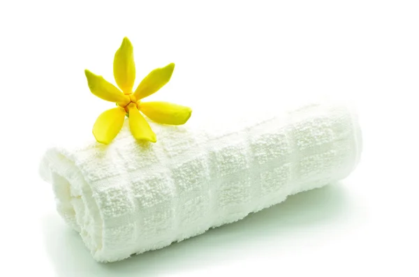 Ylang-Ylang flower — Stock Photo, Image