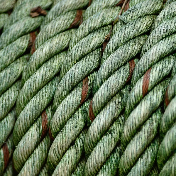Nodi di corda — Foto Stock
