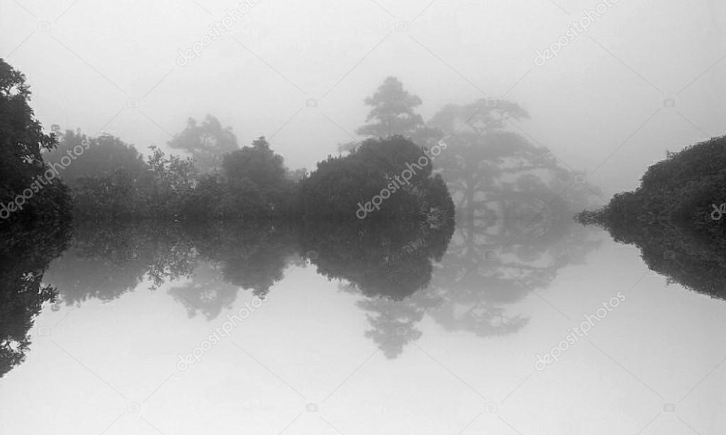 refection in water