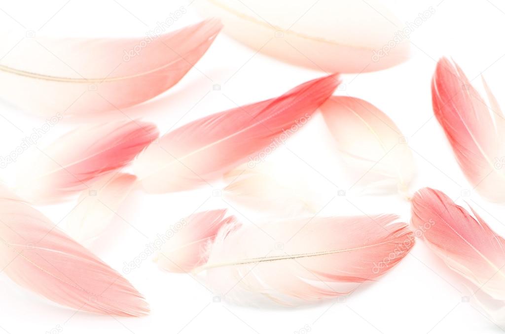 cartoon flamingo with feathers on their head clip art cartoon flamingo with feathers on their head clip art