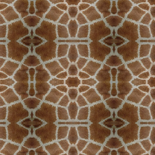 Seamless pattern — Stock Photo, Image