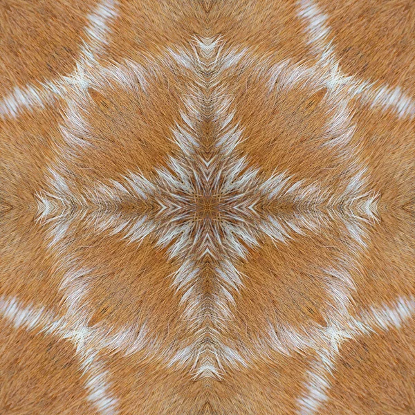 Deer skin — Stock Photo, Image