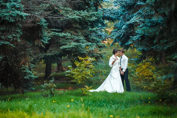 Sposo e Sposo al matrimonio Giorno camminando all'aperto sulla natura primaverile. Coppia di sposi, donna e uomo sposati felici che si abbracciano nel parco verde. Amare coppia di nozze all'aperto . — Foto Stock