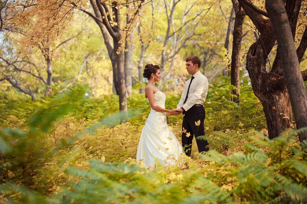 Sposa e sposo camminano nella natura — Foto Stock