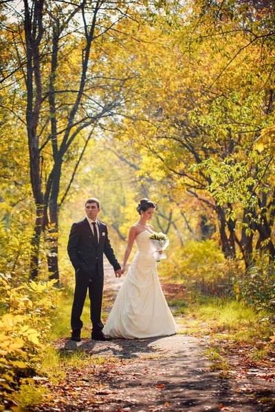 Noiva e noivo andam na natureza — Fotografia de Stock