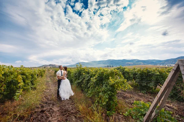 Nevěsta a ženich — Stock fotografie