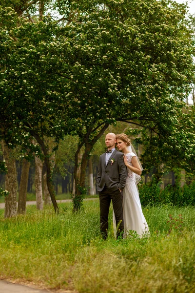 Bride and groom in nature — Stock Photo, Image