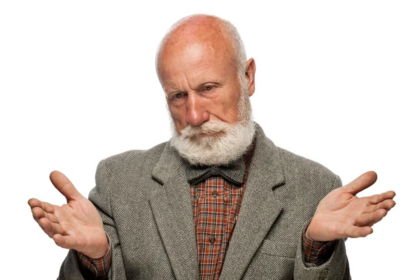 Old man with a big beard and a smile — Stock Photo, Image