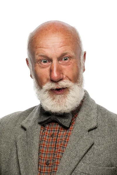 En gammel mann med stort skjegg og et smil – stockfoto