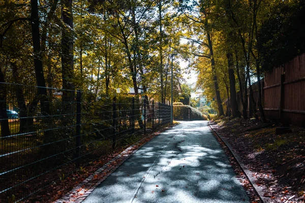 Асфальтированная Дорога Между Частными Домами Осенью — стоковое фото