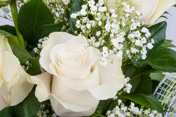 Flowers white — Stock Photo, Image