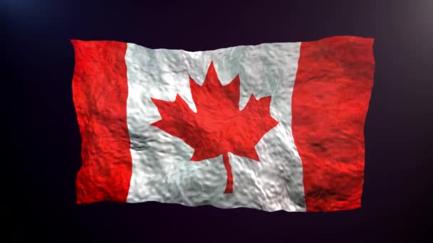 Zwaaien Canada Vlag Donkere Achtergrond — Stockvideo