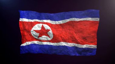 Koyu arkaplanda Kuzey Kore bayrağı sallıyor.