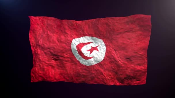 Drapeau Tunisie Sur Fond Sombre — Video