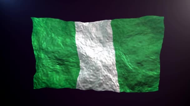 Karanlık Arka Planda Nijerya Bayrağı Sallıyor — Stok video