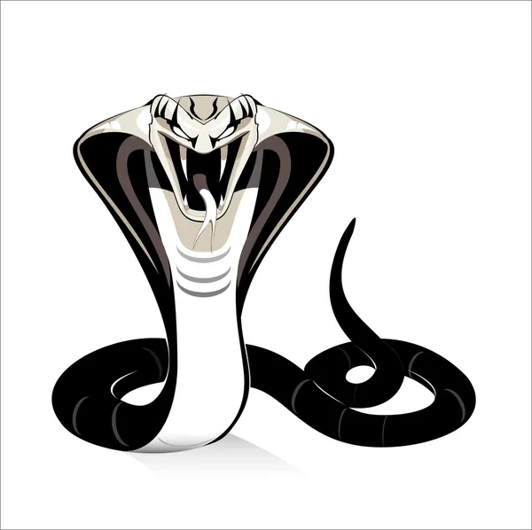 Rei Cobra Ilustração De Stock